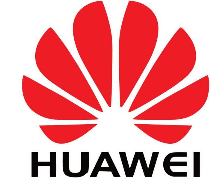 张工logo